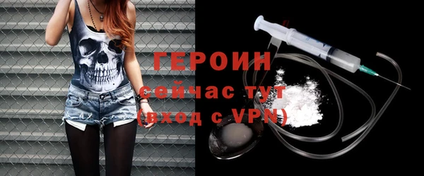 сатива Беломорск