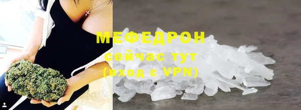 сатива Беломорск