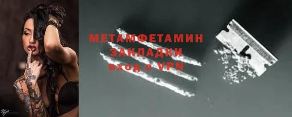 сатива Беломорск
