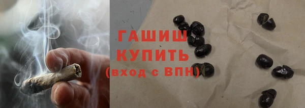 сатива Беломорск