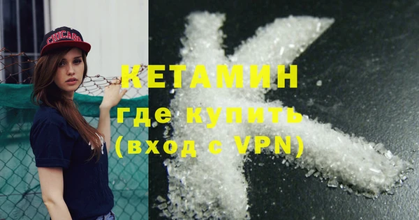 сатива Беломорск