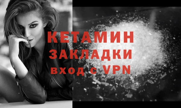 сатива Беломорск