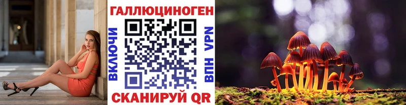 Псилоцибиновые грибы мухоморы  сайты даркнета состав  Борзя  hydra tor 