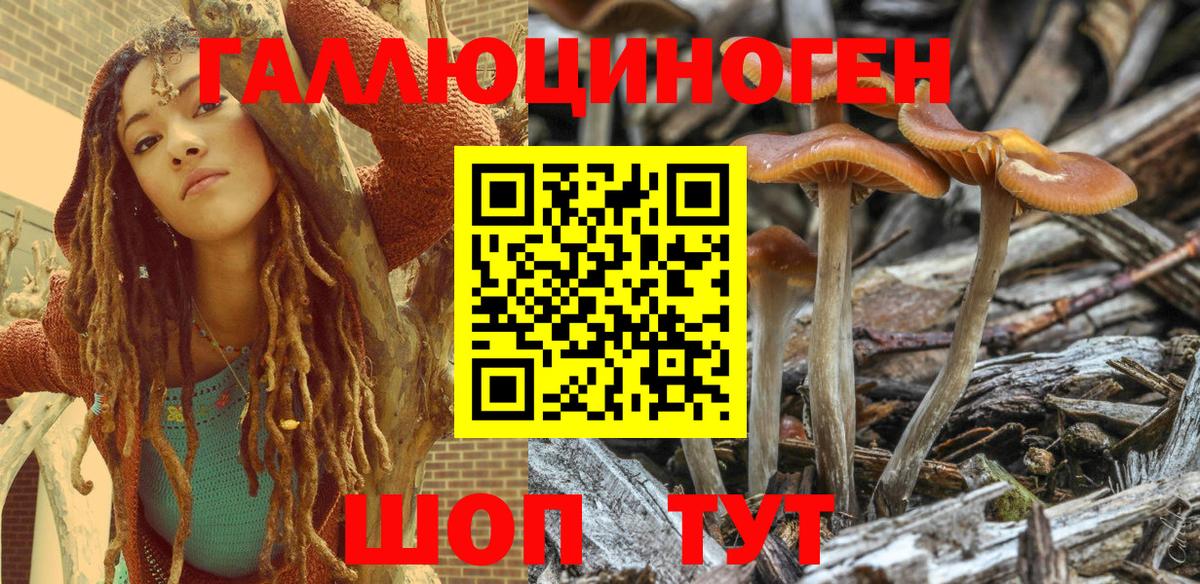 Псилоцибиновые грибы MAGIC MUSHROOMS  Вход с VPN  Борзя 